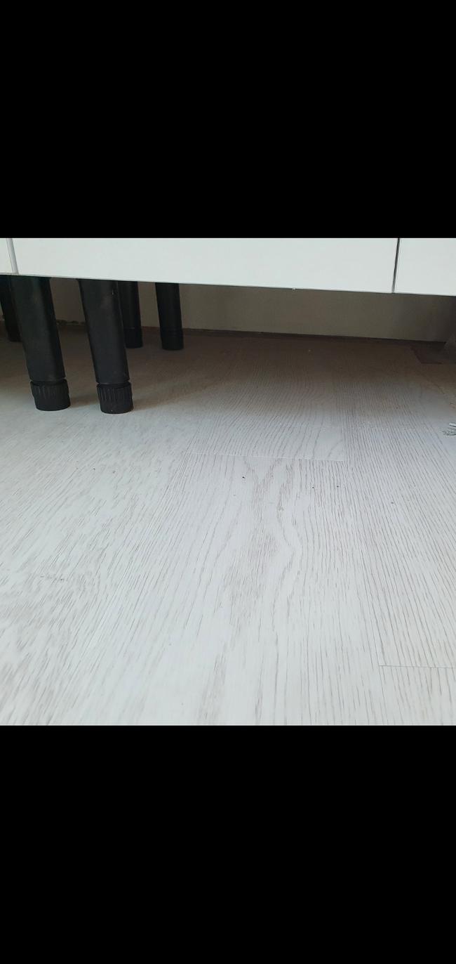 제주시 모델하우스철거청소, 스팅거클리닝의 전문 청소 서비스