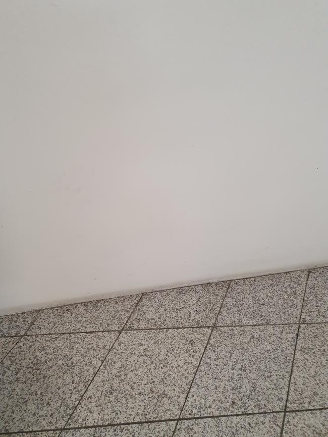 서울 강서구 컨테이너청소, 스팅거클리닝의 맞춤형 서비스