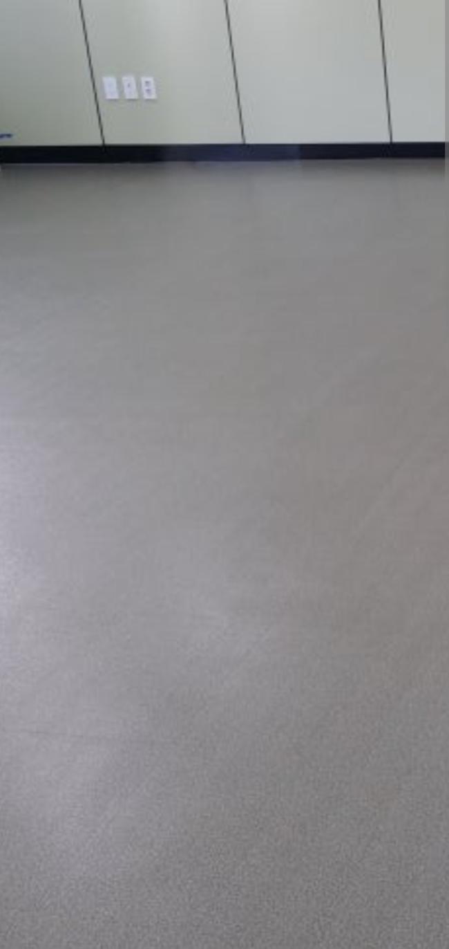 용인시 수지구 냄새 제거 청소, 스팅거클리닝의 전문 서비스