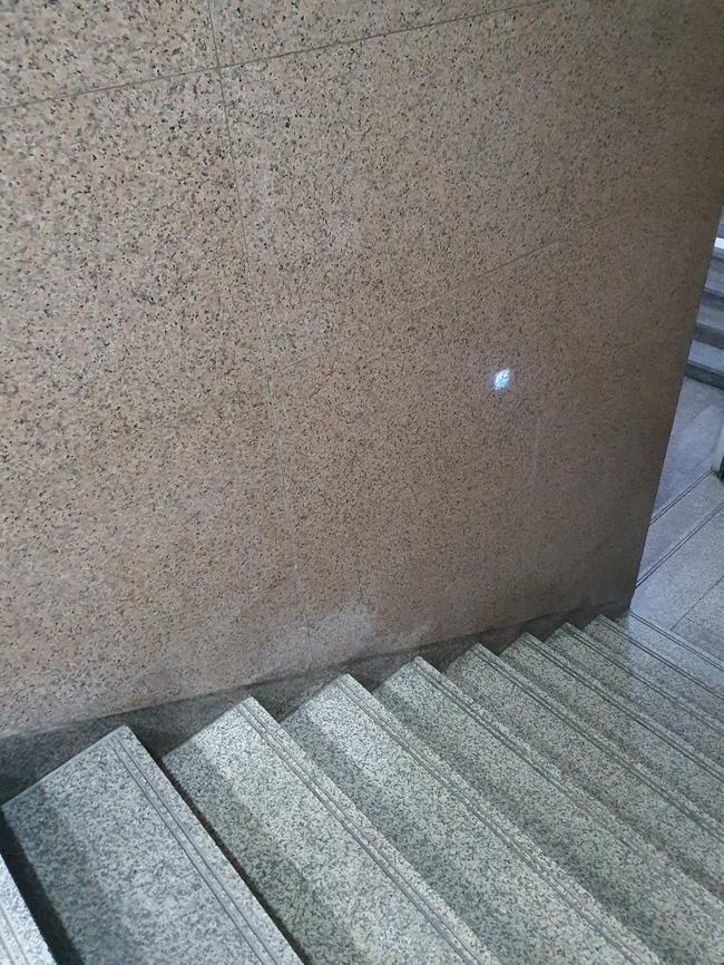 대전 중구 매트리스청소, 스팅거클리닝의 전문 서비스로 깨끗한 수면 공간 만들기