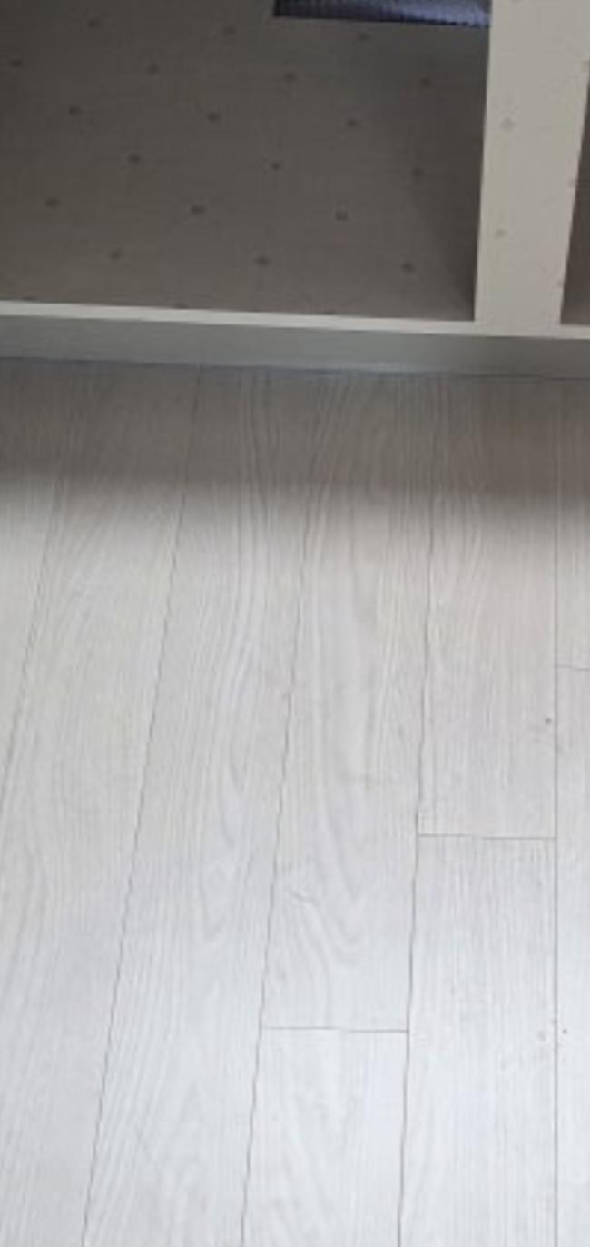 철원군 스팅거클리닝, 전문 스팀청소로 공간 revitalization!