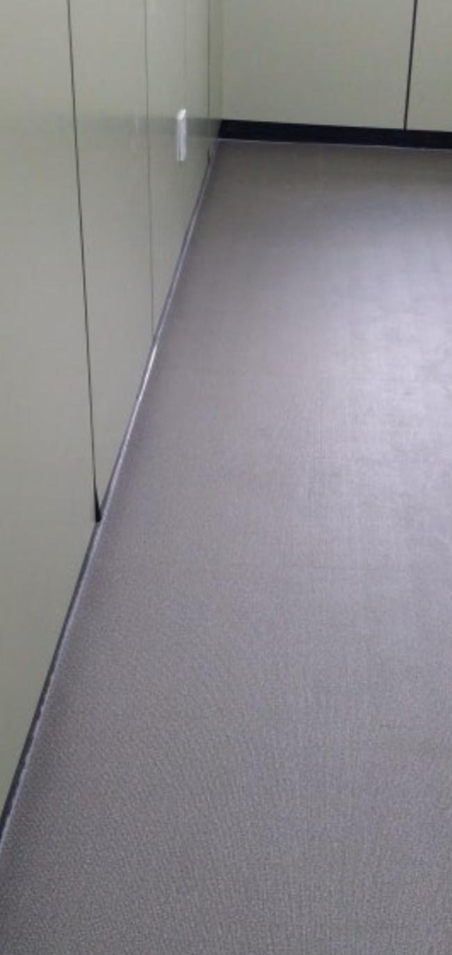 청주시 흥덕구 해충방역 전문업체, 스팅거클리닝의 맞춤형 서비스