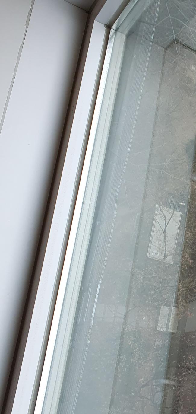 부여군 폐공장청소 전문업체, 스팅거클리닝으로 안전하게 정리하세요