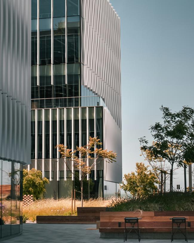 영천시 전문 페인트제거 서비스, 스팅거클리닝으로 새롭게!