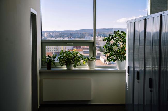 서울 구로구 전문 청소 서비스, 스팅거클리닝으로 완벽한 입주청소